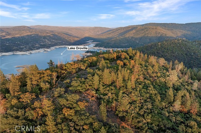 0 Wicks Way, Oroville, California 95966, ,Land,For Sale,0 Wicks Way,CROR23209304