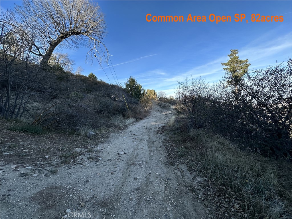MLS #EV23227248 image #6