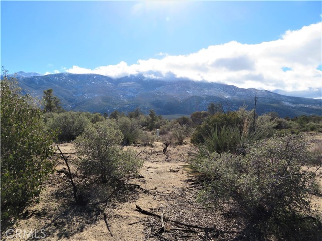 MLS# SW23009499
