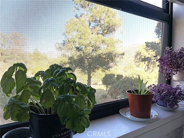 Detail Gallery Image 27 of 33 For 70020 Pines to Palms, Mountain Center,  CA 92561 - 2 Beds | 1 Baths