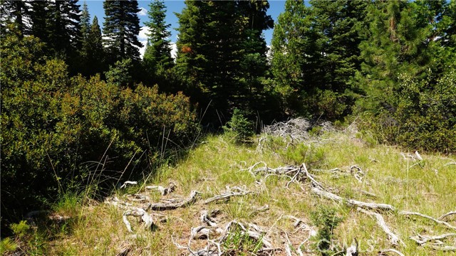 Detail Gallery Image 2 of 28 For 0 Echo Way, Mccloud,  CA 96057 - – Beds | – Baths