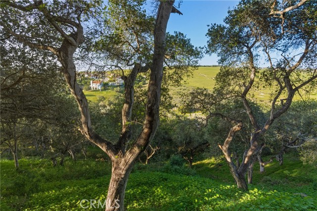 Detail Gallery Image 68 of 75 For 692 Shamrock, Pismo Beach,  CA 93449 - 4 Beds | 3 Baths
