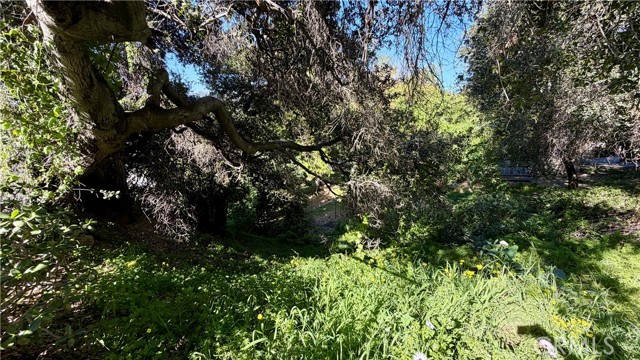 Detail Gallery Image 8 of 9 For 0 Hilldale Dr, La Canada Flintridge,  CA 91011 - – Beds | – Baths