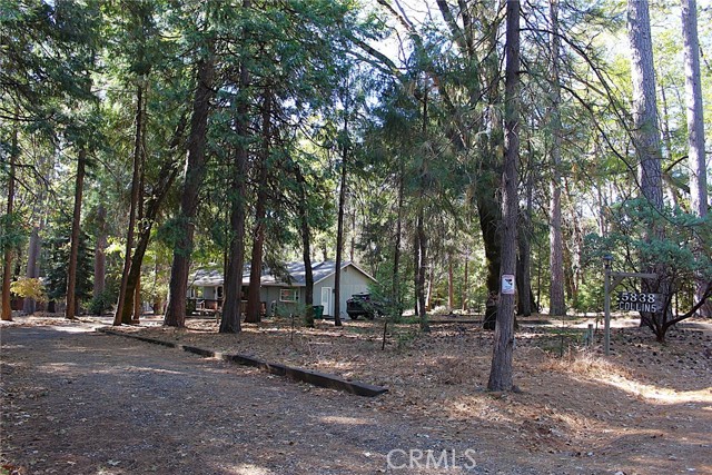 Front Image Thumbnail for CRPA26232682