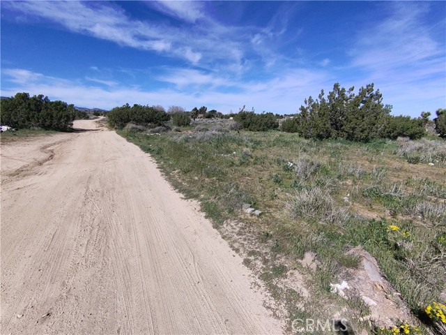 Detail Gallery Image 7 of 10 For 0 Yucca Terrace Dr, Phelan,  CA 92371 - – Beds | – Baths