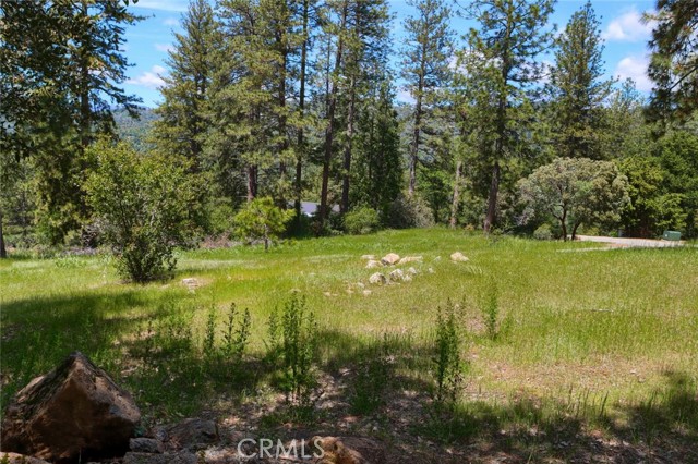 Detail Gallery Image 11 of 25 For 0 4.98 Ac Timberwood Ln, Oakhurst,  CA 93644 - – Beds | – Baths