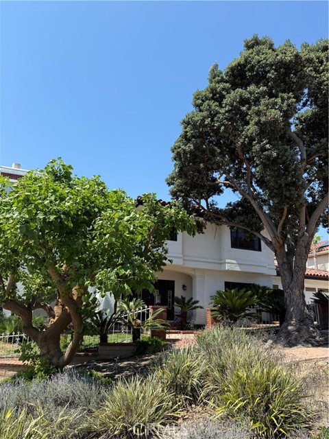 Detail Gallery Image 3 of 17 For 4441 Los Patos Ave, Huntington Beach,  CA 92649 - 3 Beds | 3/2 Baths