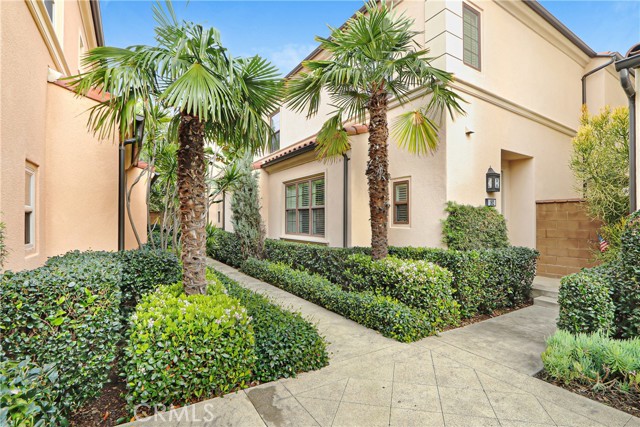 Front Image Thumbnail for CROC26034383