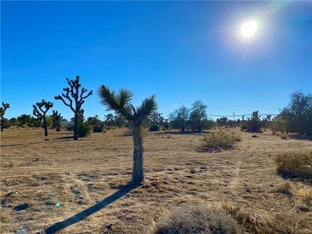 57031 Buena Vista Drive, Yucca Valley, California 92284, ,Land,For Sale,57031 Buena Vista Drive,CRJT23214315