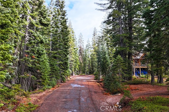 Detail Gallery Image 10 of 14 For 1100 Cleghorn Dr, Quincy,  CA 95971 - – Beds | – Baths