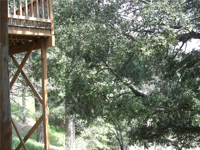 Detail Gallery Image 38 of 39 For 21524 Crest Forest Dr, Cedarpines Park,  CA 92322 - 2 Beds | 1 Baths