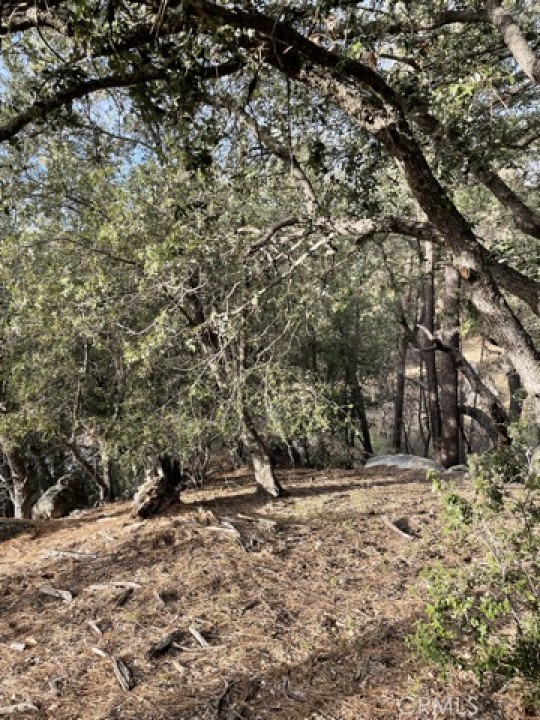 27799 Saunders Meadow Road, Idyllwild, CA, 92549 27799 Saunders Meadow Road, Idyllwild, CA, 92549
