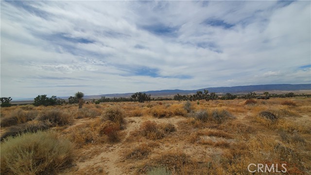 0 Vicinity Kingbird & 243rd St W, Rosamond, California 93560, ,Land,For Sale,0 Vicinity Kingbird & 243rd St W,CRSR23155108