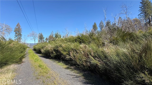 Detail Gallery Image 8 of 12 For 0 Starcrest Ln, Berry Creek,  CA 95916 - – Beds | – Baths