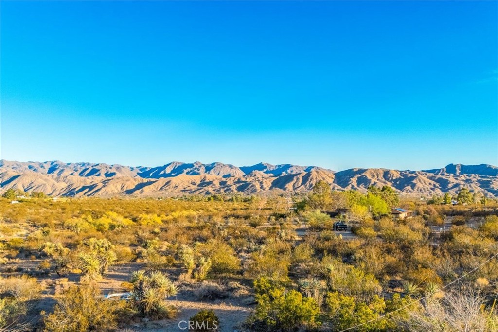 MLS #JT25260931 image #35