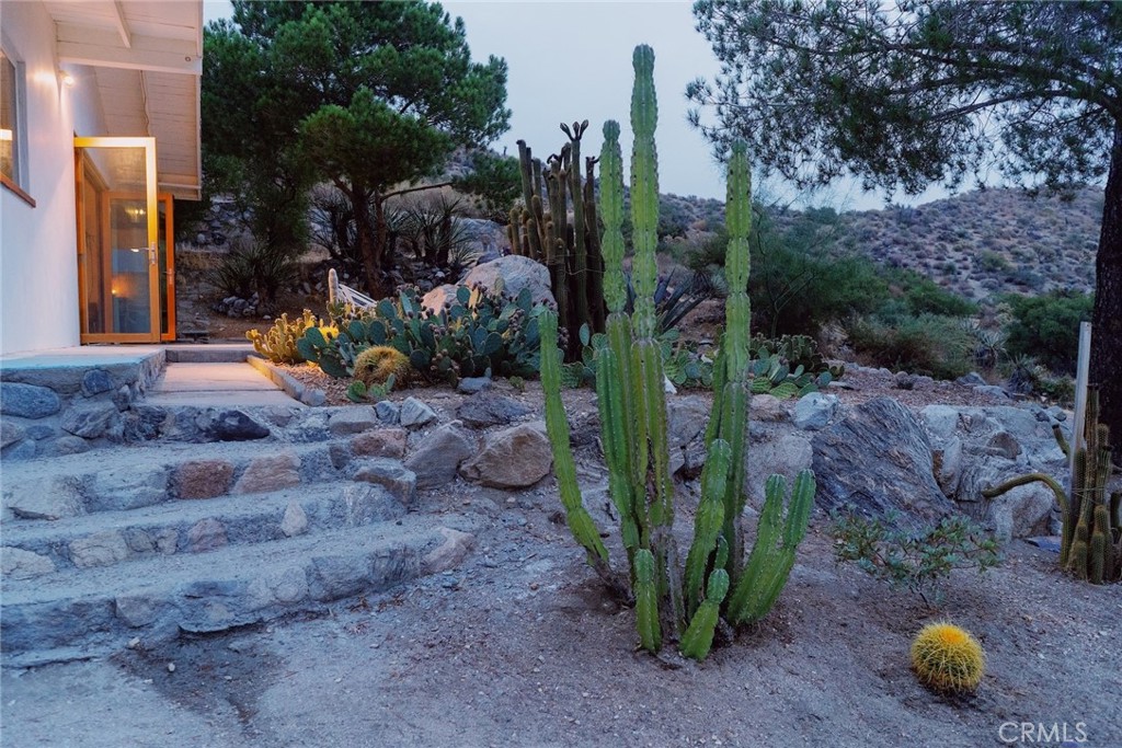 MLS #JT25265838 image #41