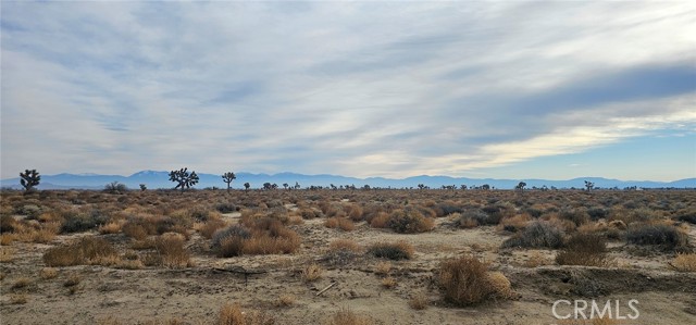 Front Image Thumbnail for CRSR25268646