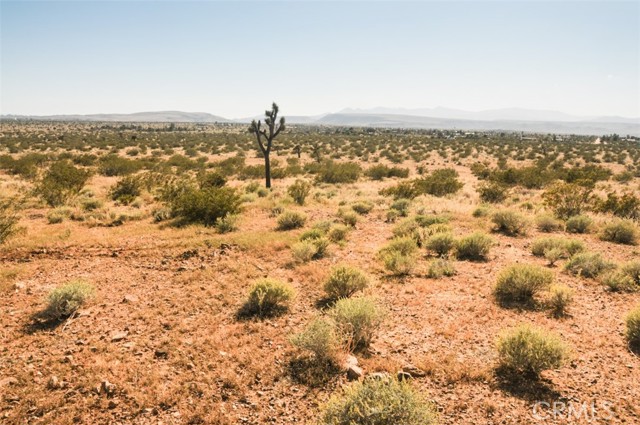 Detail Gallery Image 9 of 58 For 58459 Starlight Mesa Rd, Yucca Valley,  CA 92284 - – Beds | – Baths