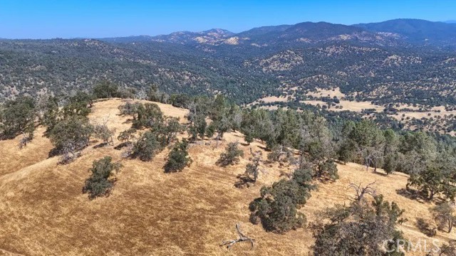 Front Image Thumbnail for CRFR26035362