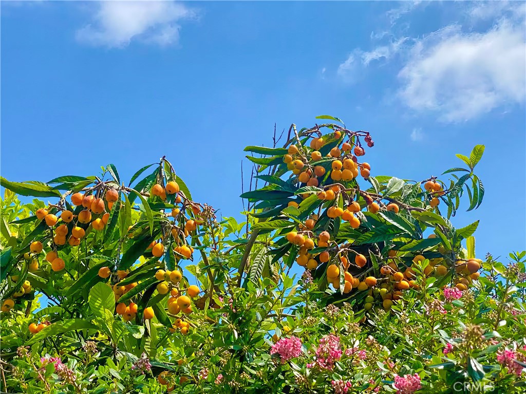 https://media.crmls.org/medias/89220e36-15e4-477a-bc19-03f557a20f02.jpg?preset=X-Large