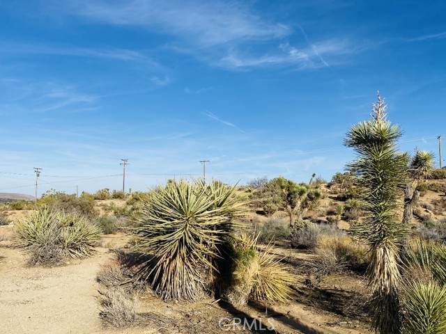 8000 Redden, Yucca Valley, CA, 92284 8000 Redden, Yucca Valley, CA, 92284