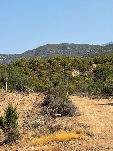 20 Comanche Trail, Anza, California 92539, ,Land,For Sale,20 Comanche Trail,CRSW22245603