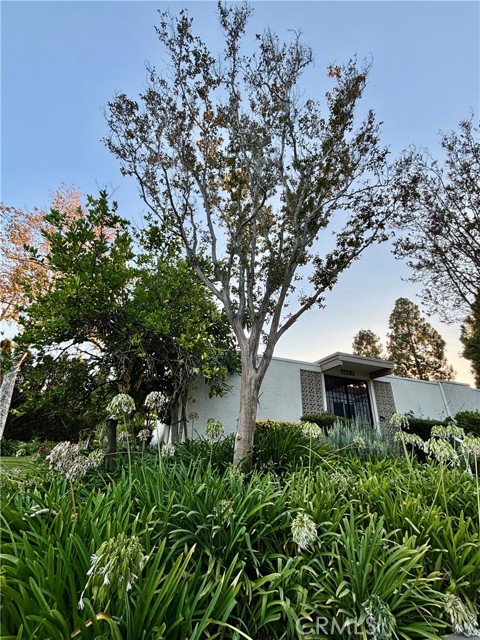 Detail Gallery Image 36 of 38 For 442 Avenida Sevilla a,  Laguna Woods,  CA 92637 - 2 Beds | 2 Baths