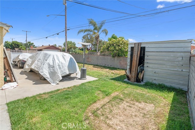 back yard