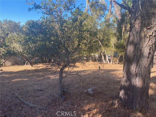 0 Alban Place, Cambria, California 93428, ,Land,For Sale,0 Alban Place,CRSC23200431