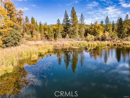 Detail Gallery Image 18 of 54 For 4816 Stumpfield Mountain Rd, Mariposa,  CA 95338 - 2 Beds | 2 Baths