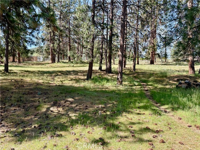 Image 14 of 54 For 0 S Lang Way