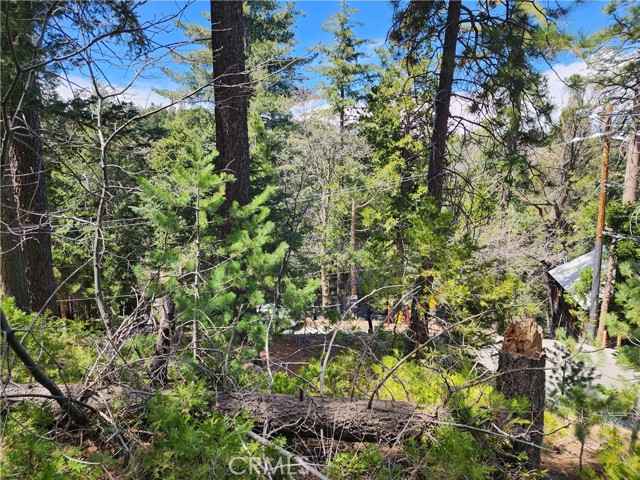 Detail Gallery Image 13 of 24 For 586 Rose, Twin Peaks,  CA 92391 - – Beds | – Baths