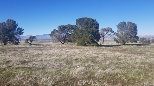 0 Vic 102 St W/Ave K12, Lancaster, California 93536, ,Land,For Sale,0 Vic 102 St W/Ave K12,CRSR23005275