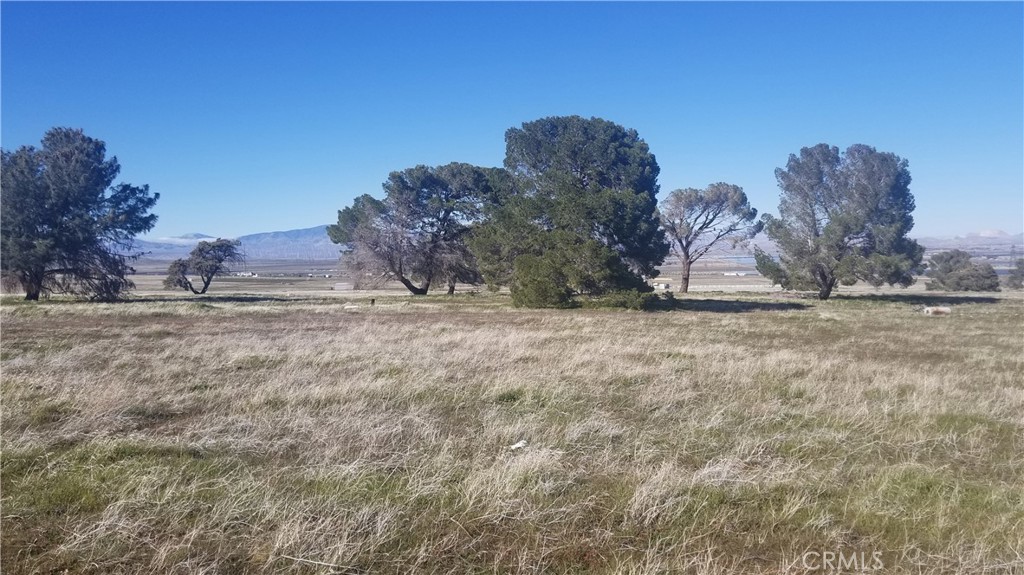 MLS #SR23005275 image #2