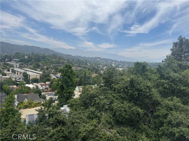 1537 Wildwood Drive, Eagle Rock CA: https://media.crmls.org/medias/89439443-7ae9-40f2-9ccf-af2dadf79213.jpg