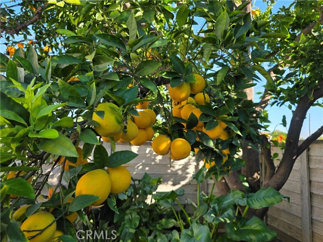 Detail Gallery Image 18 of 20 For 16264 Kalisher St, Granada Hills,  CA 91344 - 3 Beds | 2 Baths