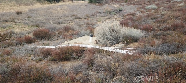 Detail Gallery Image 5 of 13 For 38351 Bouquet Canyon Road, Leona Valley,  CA 93551 - – Beds | – Baths