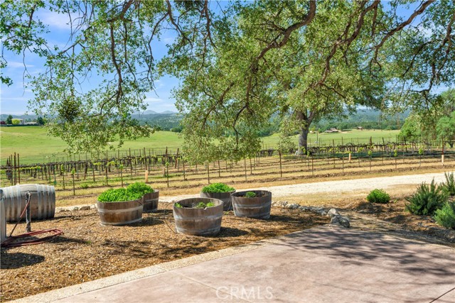Detail Gallery Image 39 of 66 For 53600 Bradley Lockwood, Bradley,  CA 93426 - 3 Beds | 2 Baths