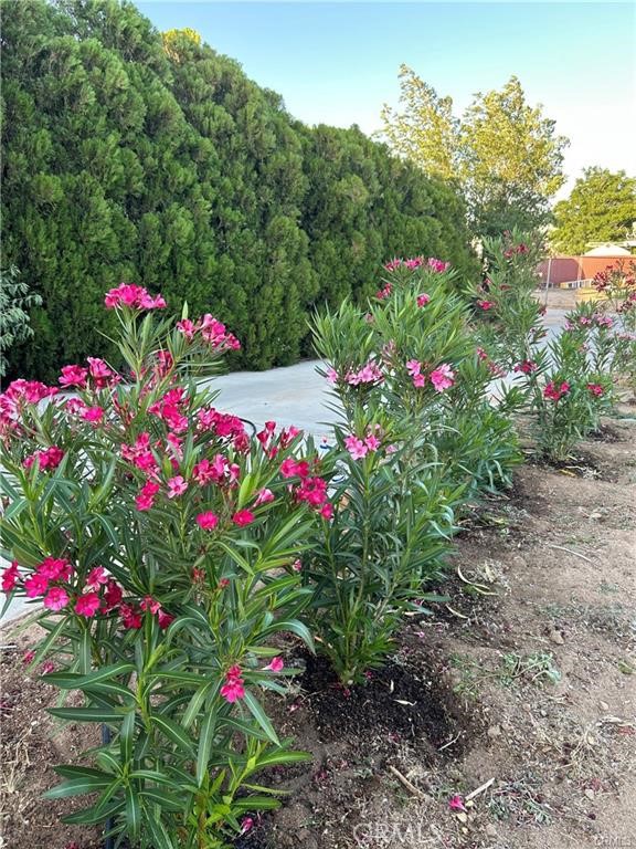 16792 Nisqualli Road, Victorville, California 92395, 2 Bedrooms Bedrooms, ,1 BathroomBathrooms,Residential Lease,For Rent,16792 Nisqualli Road,CRHD25156748