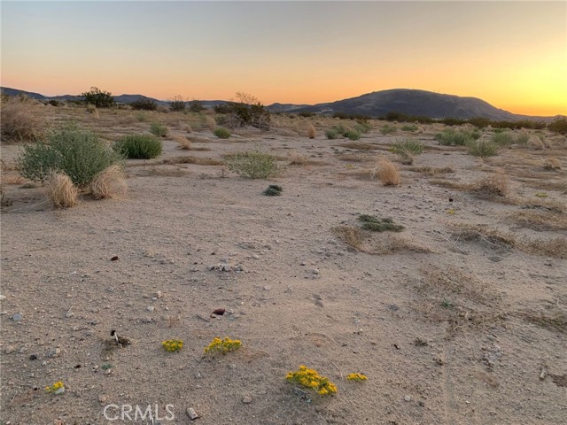 0 Pipeline Road, Joshua Tree, California 92252, ,Land,For Sale,0 Pipeline Road,CRDW23206723