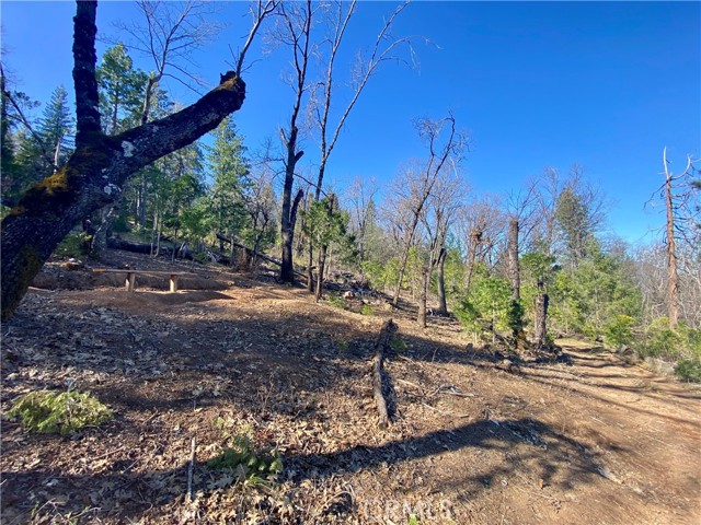 Detail Gallery Image 11 of 21 For 10130 Seigler Springs North, Kelseyville,  CA 95451 - – Beds | – Baths