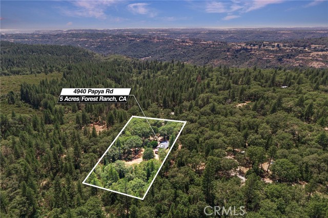 4940 Papaya Road, Forest Ranch CA: https://media.crmls.org/medias/894d22d3-e0a2-40df-b787-51f278bb8c45.jpg