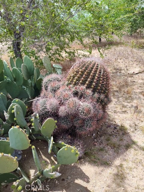 Detail Gallery Image 3 of 10 For 10376 55th St, Mojave,  CA 93501 - – Beds | – Baths