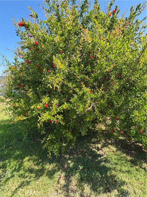 Detail Gallery Image 13 of 30 For 1500 Walton St, Oceanside,  CA 92058 - 3 Beds | 1 Baths
