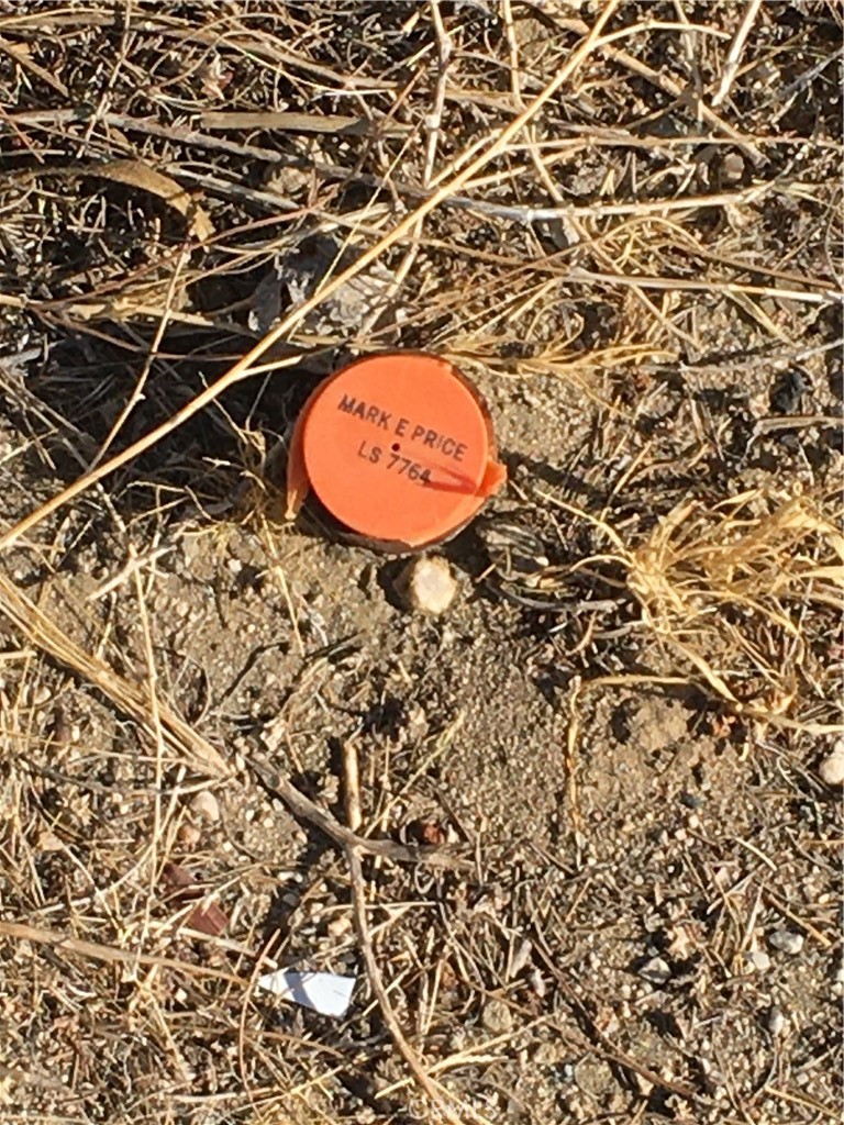 MLS #SR25151801 img 1