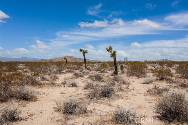 Detail Gallery Image 2 of 6 For 3000 Celeste Rd, Joshua Tree,  CA 92252 - – Beds | – Baths