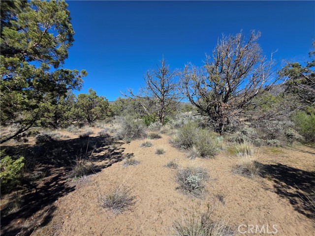 Detail Gallery Image 7 of 20 For 39 Blk 8 Lot 39 Katrina Dr Dr, Montague,  CA 96064 - – Beds | – Baths