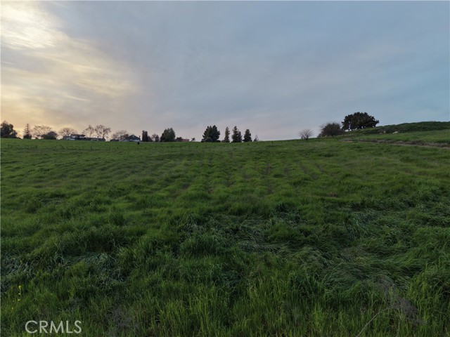 Detail Gallery Image 7 of 19 For 125 High Sierra, Exeter,  CA 93221 - – Beds | – Baths