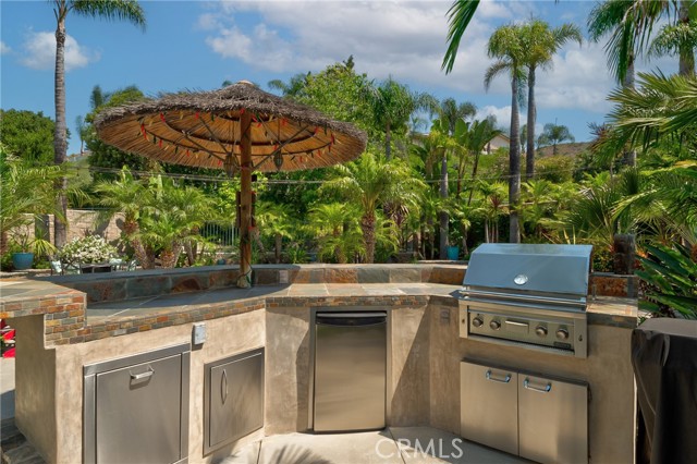 14 San Angelo, Lake Forest photo 50