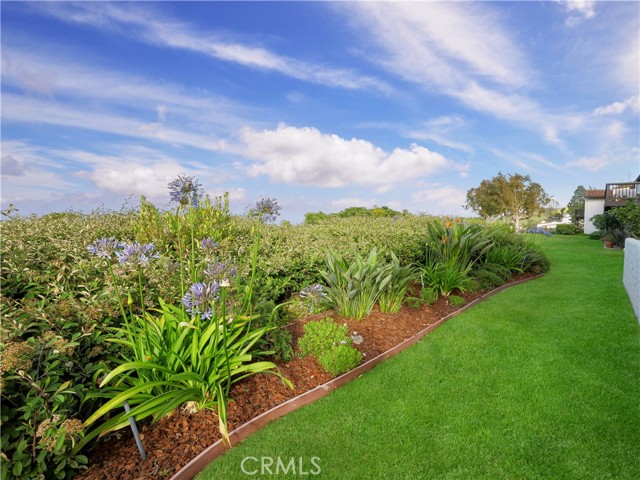 large grassy area in the back of the property